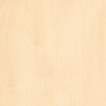 H 1733 ST9 Mainau Birke 33 x 2,0 mm