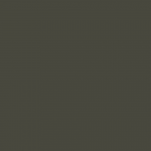 U 12257 VV Graphitgrau  23 x 2,0 mm