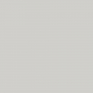 U 12188 SD Lichtgrau  19 mm SK