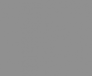 U 732 ST9 Staubgrau 33 x 2,0 mm