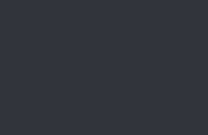 U968 ST9 Karbongrau perl  23 x 2,0 mm