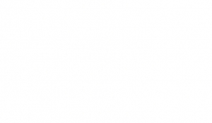 W1000 ST9 Premium Weiss  28 x 2,0 mm