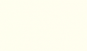 W990 ST7 Kristall Weiß 28 x 2,0 mm