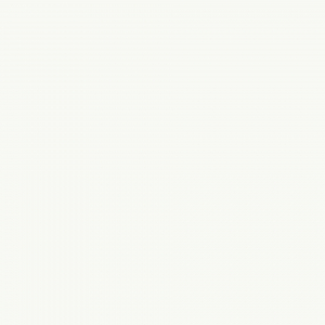 W10100 SD Interior white 43 x 2,0 mm