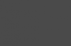 U12290 SD Anthrazitgrau 23 x 2,0 mm