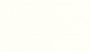 W1000 ST9 Premiumweiss 23 mm SK